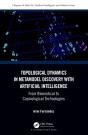Topological Dynamics In Metamodel Discovery With Artificial Intelligence - Preview