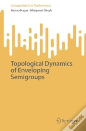 Topological Dynamics Of Enveloping Semigroups