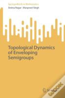 Topological Dynamics Of Enveloping Semigroups
