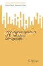 Topological Dynamics Of Enveloping Semigroups - Preview