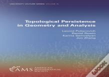 Topological Persistence In Geometry And Analysis