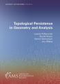 Topological Persistence In Geometry And Analysis - Preview