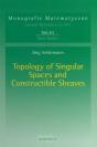 Topology Of Singular Spaces And Constructible Sheaves - Preview