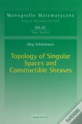 Topology Of Singular Spaces And Constructible Sheaves