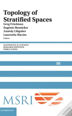 Capa do artigo Topology Of Stratified Spaces
