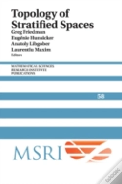 Capa do artigo Topology Of Stratified Spaces