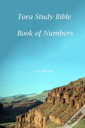 Tora Study Bible