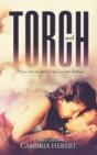 Torch - Preview