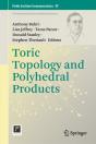 Toric Topology And Polyhedral Products - Preview