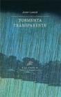 Tormenta Transparente - Preview
