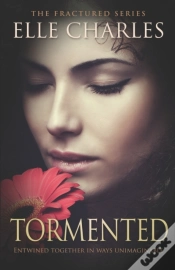 Capa do artigo Tormented