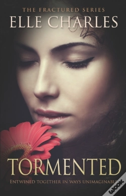 Capa do artigo Tormented
