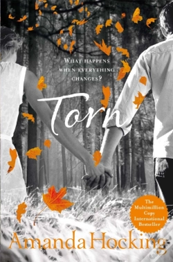 Capa do artigo Torn