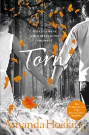 Capa do artigo Torn
