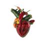 Torn Arteries - CD - Preview