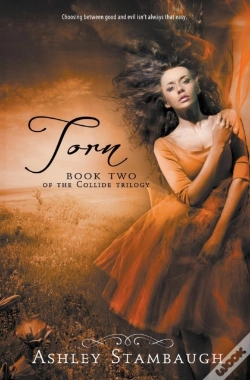 Capa do artigo Torn