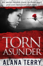 Torn Asunder - Preview