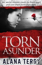 Capa do artigo Torn Asunder