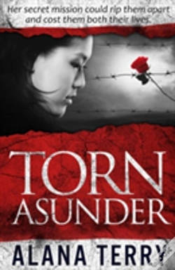 Capa do artigo Torn Asunder