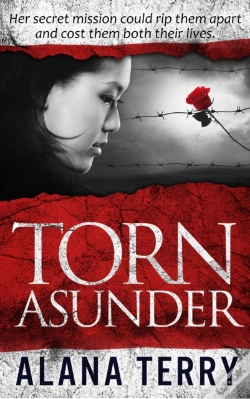 Capa do artigo Torn Asunder