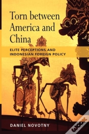 Capa do artigo Torn Between America And China