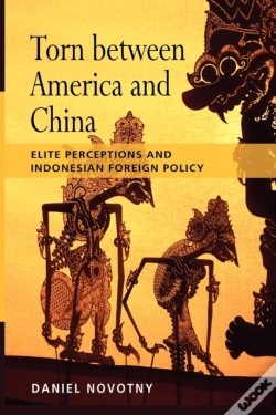 Capa do artigo Torn Between America And China
