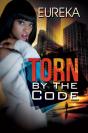 Torn By The Code - Preview