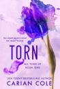 Torn - Preview