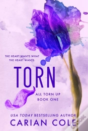 Capa do artigo Torn
