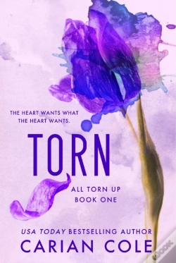 Capa do artigo Torn