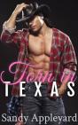 Torn In Texas - Preview