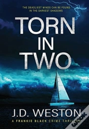 Capa do artigo Torn In Two