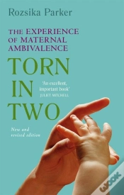 Capa do artigo Torn In Two