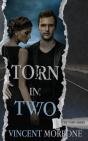 Torn In Two - Preview