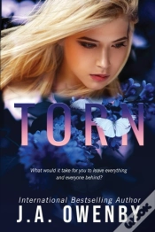 Capa do artigo Torn
