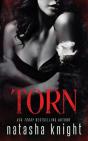 Torn - Preview
