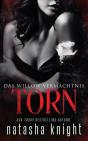 Torn - Preview