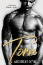 Torn - Preview