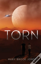 Capa do artigo Torn