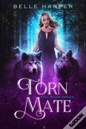 Capa do artigo Torn Mate