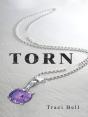 Torn - Preview