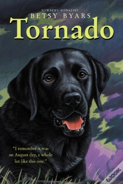 Capa do artigo Tornado