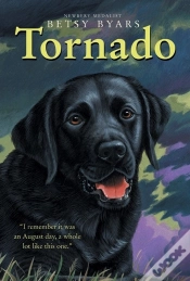 Capa do artigo Tornado