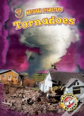Capa do artigo Tornadoes