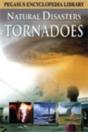 Tornadoesnatural Disasters - Preview