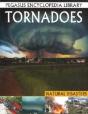 Tornadoesnatural Disasters - Preview