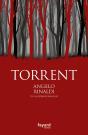 Torrent - Preview