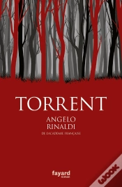 Capa do artigo Torrent