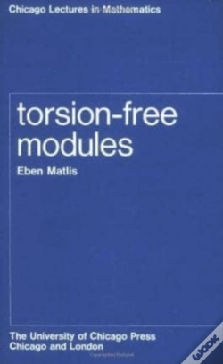 Capa do artigo Torsion-Free Modules