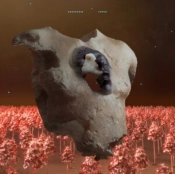 Capa do artigo TORSO - CD